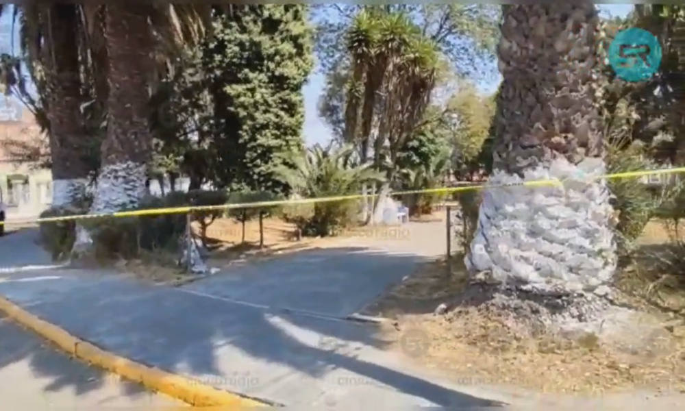 Dejan cadáver embolsado en la rotonda de la colonia Santa María Cinco