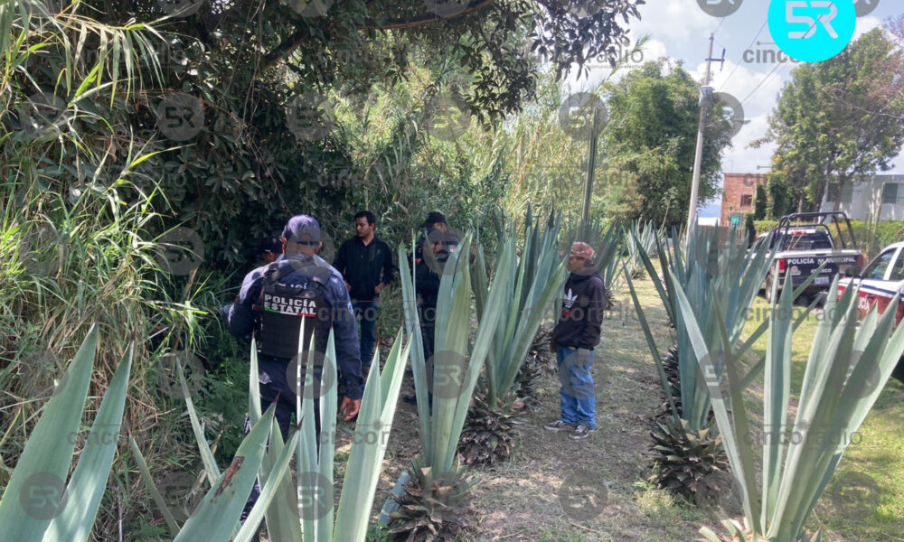 Hallan cadáver en avanzado estado de descomposición en Atlixco Cinco