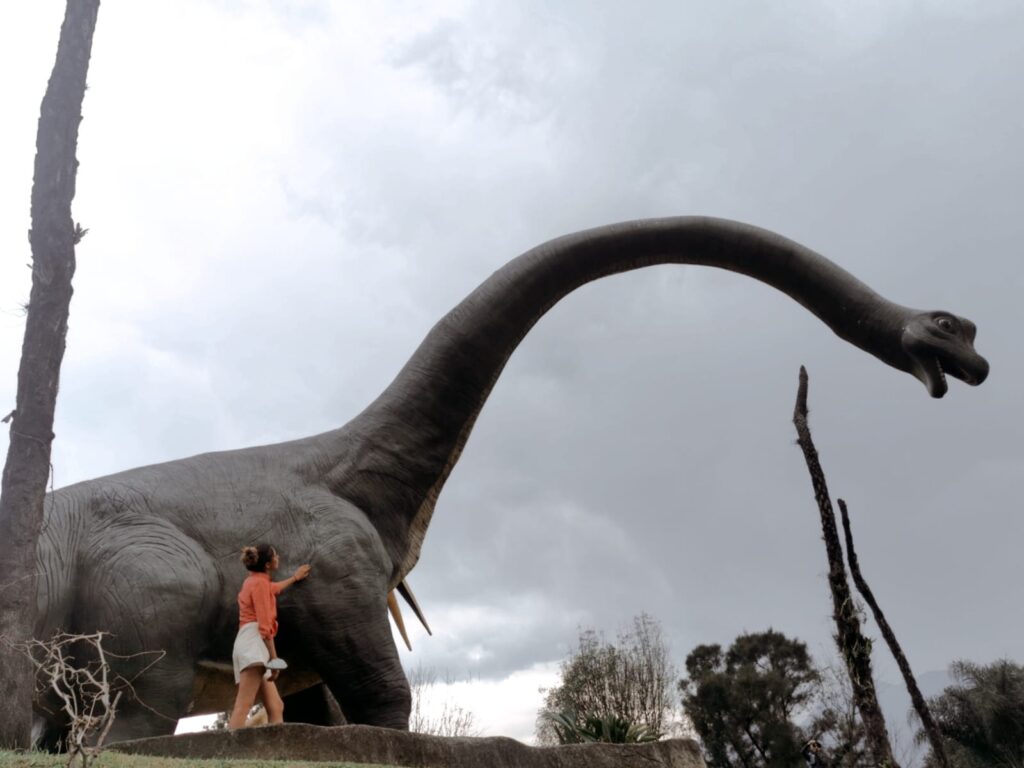 Sabías que en México existe un parque de dinosaurios? Aquí te decimos en  dónde – Cinco Radio