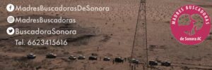 Buscadora fue encontrada