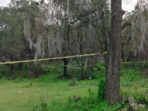 Zona boscosa, escena de crimen