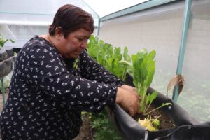 Aprenden técnicas y mejoran especies