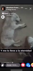 Hasta que lo mató