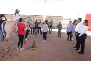 Equinoterapia