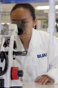 Investigaciones avanzadas en la BUAP 