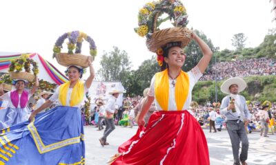 Fiesta multicolor