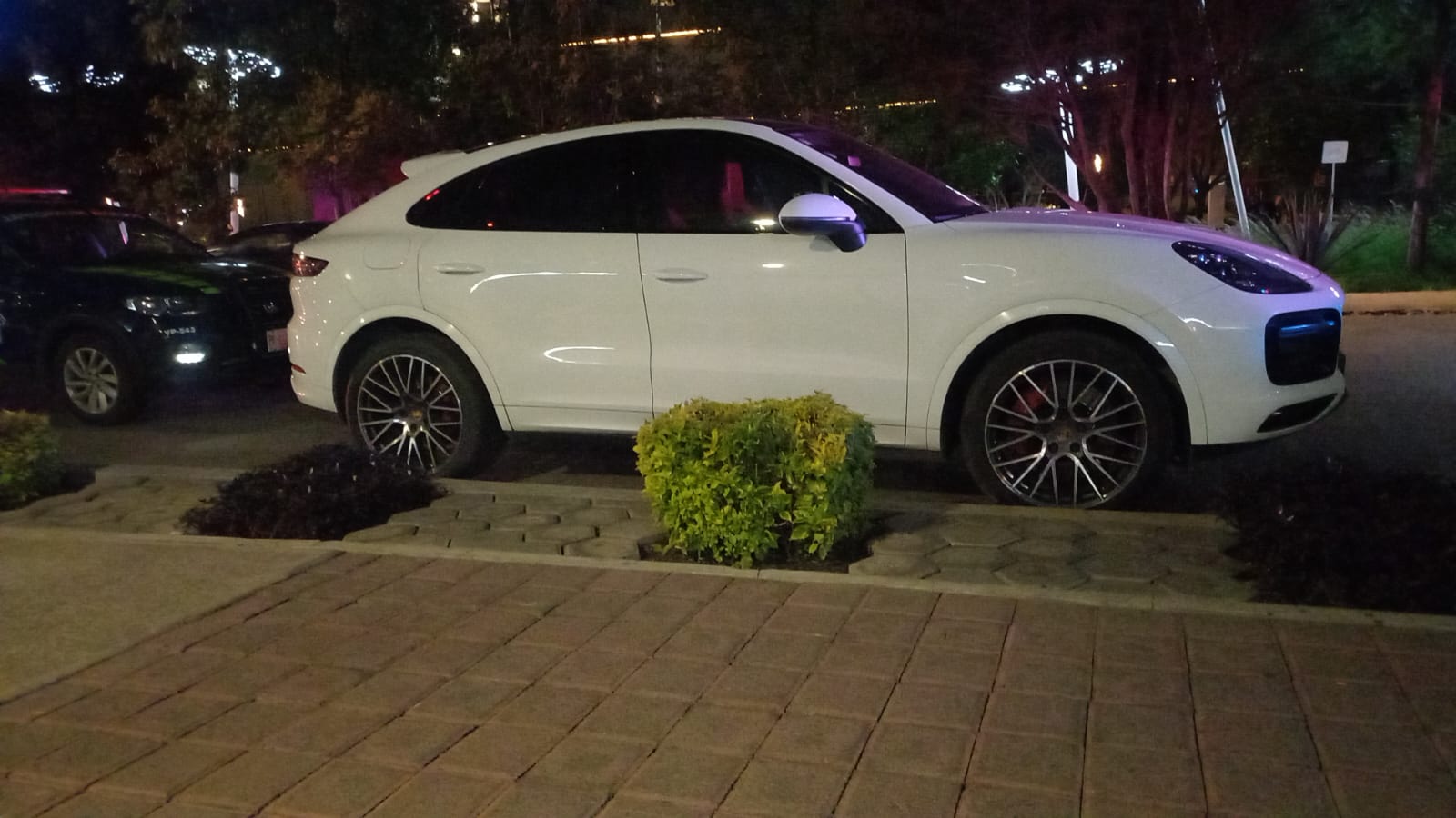 Precioso Cayenne