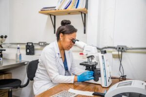 Estudios certificados 