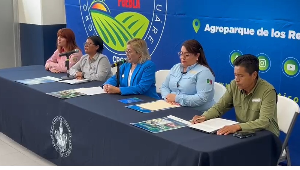 Mirna López Fuentes, Directora General del Complejo Regional