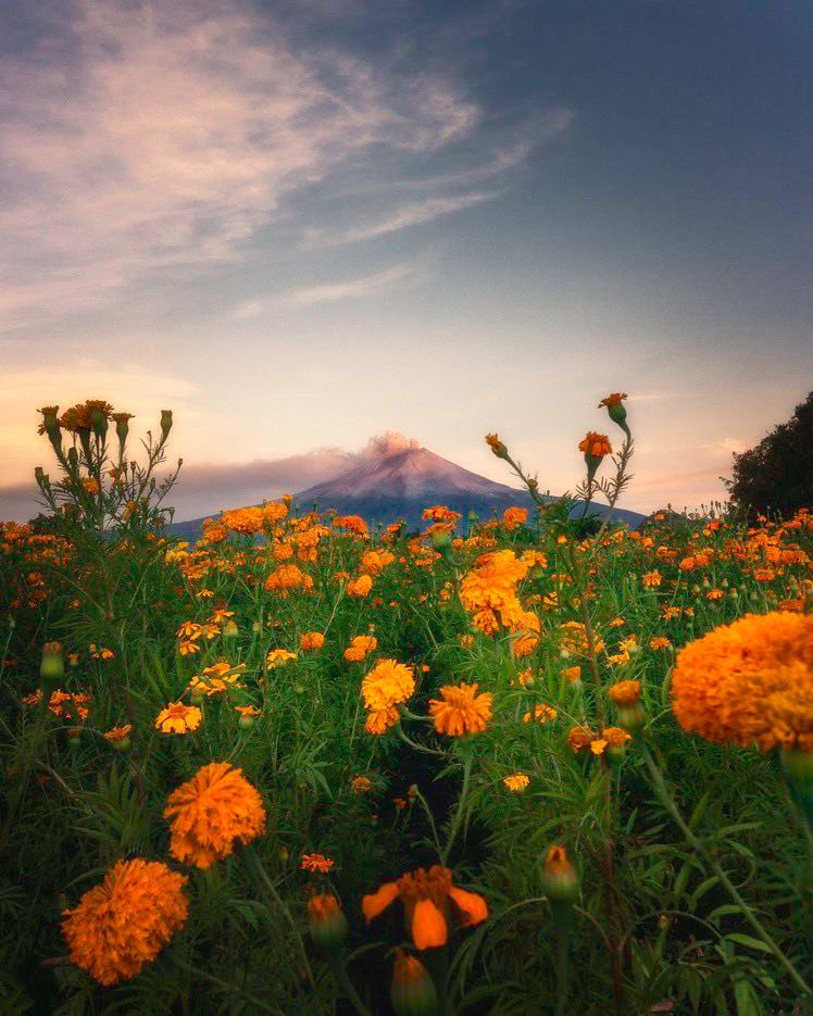 Temporada con volcán