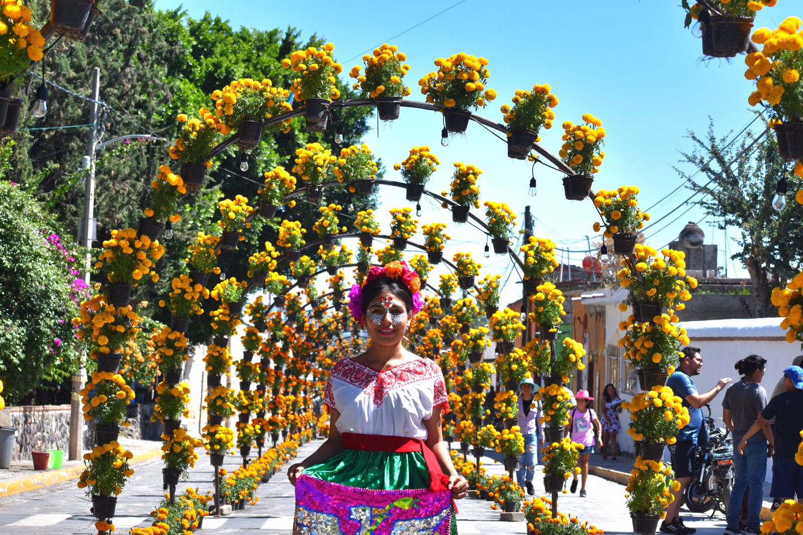 Flores y colorido