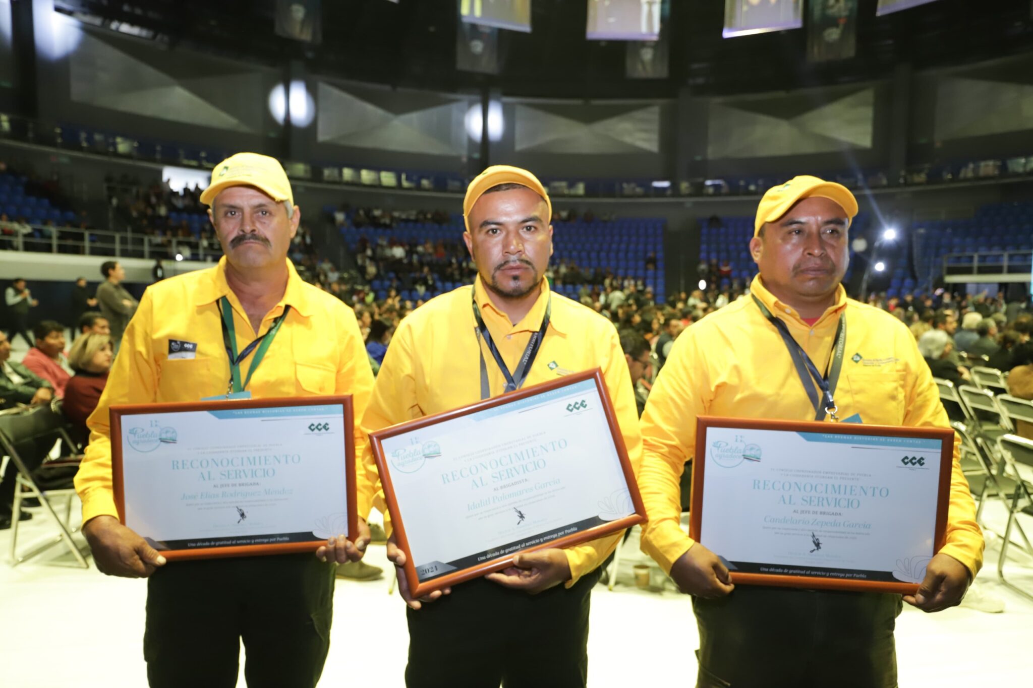 Mención especial al Reconocimiento al Servicio