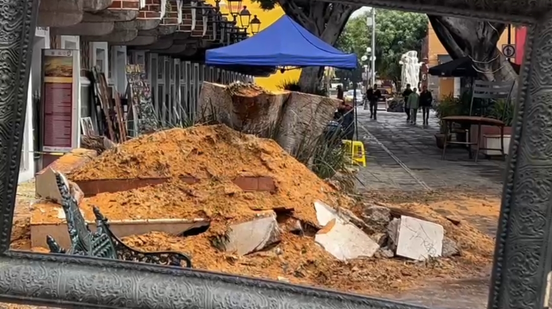 Ahí quedó todo reducido a una montaña de aserrín