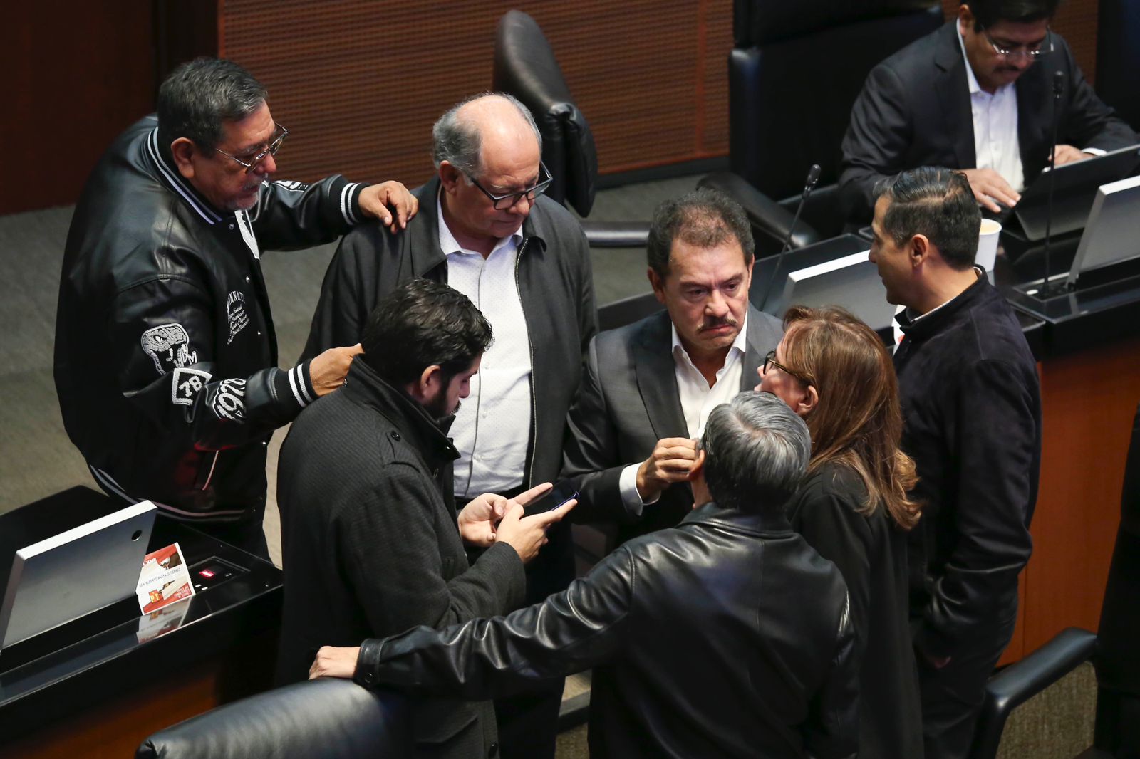 Senado de la República y el Vicecoordinador de Morena Ignacio Mier