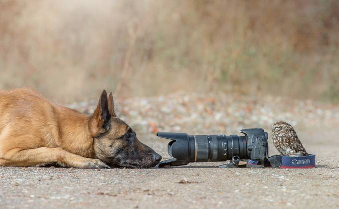 Unidos por la fotografía