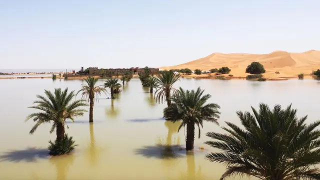 "Lagunas" en pleno desierto