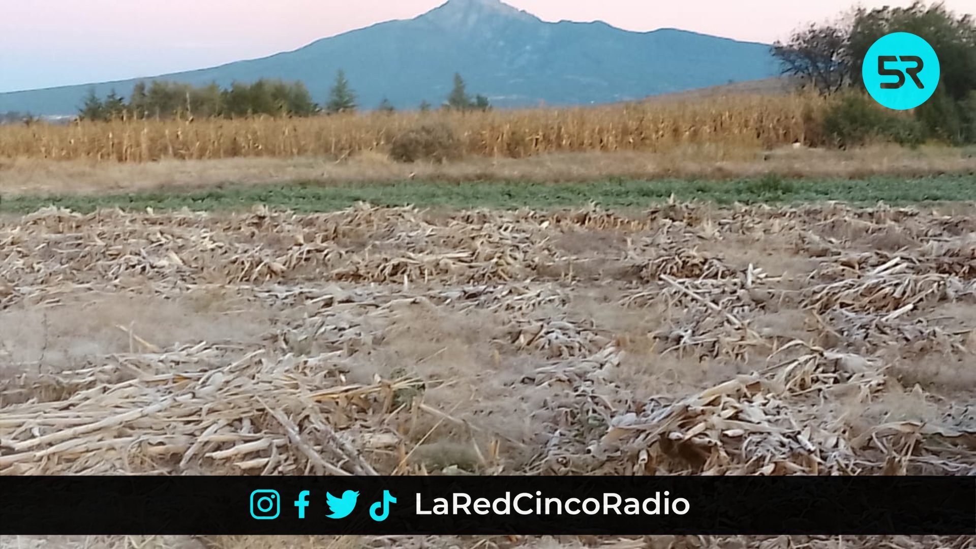 Amozoc luce campos congelados