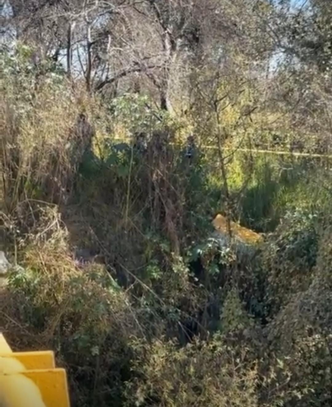 Aquí yace con una cubierta de color amarillo