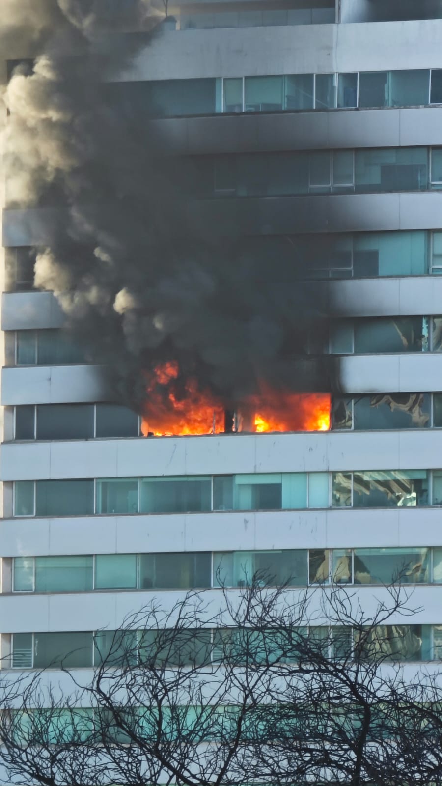 El fuego fue intenso y amenazaba con escalar a toda la propiedad