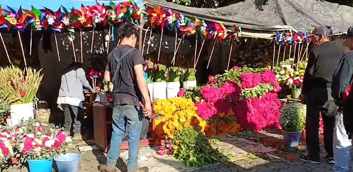 Flores