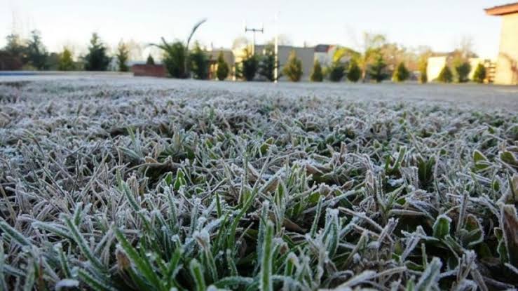 Así amanecieron campos de cultivo