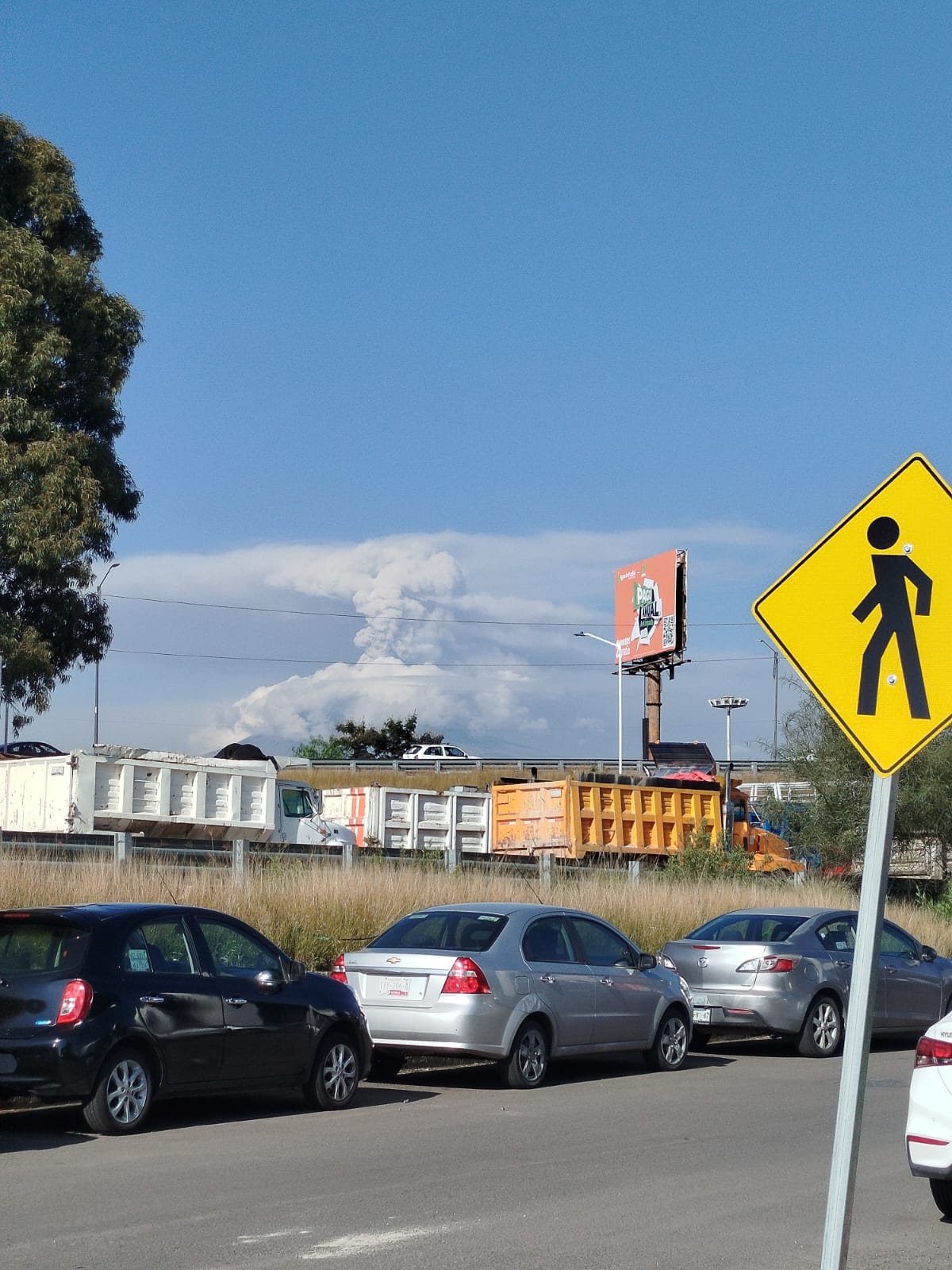 Imagen cotidiana en nuestra región