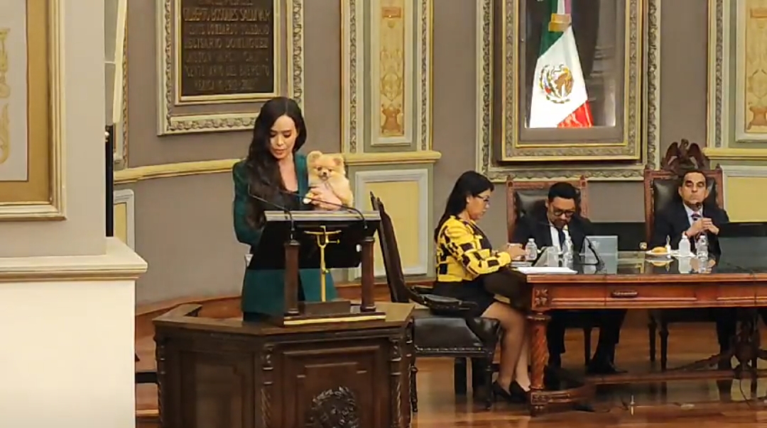 Exposición de motivos