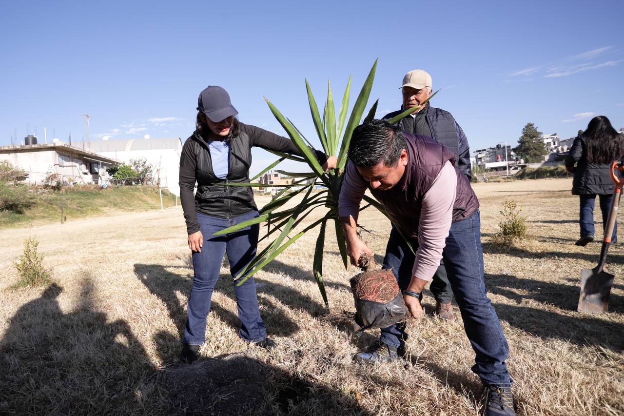 Especies propias para la región