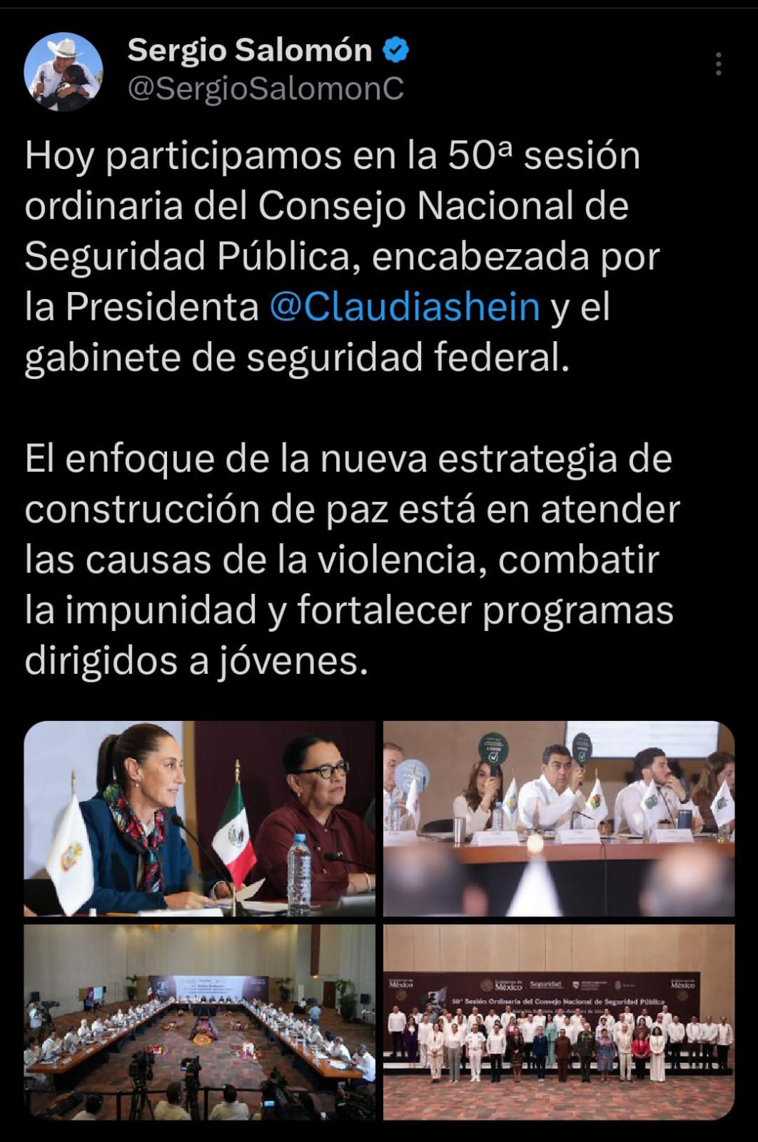 Sergio Salomón 