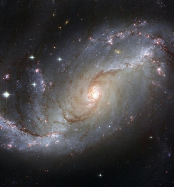 El hallazgo de una molécula clave en K2-18b abre nuevas posibilidades sobre la existencia de vida fuera del sistema solar.