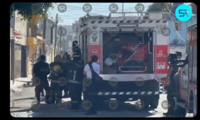 El siniestro fue provocado por un cortocircuito tras el paso de un camión que jaló cables eléctricos. No se reportan heridos.