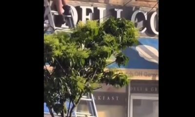 Un hombre pakistaní perdió la vida al colapsar una escalera durante su evacuación de un edificio en llamas en Brooklyn.