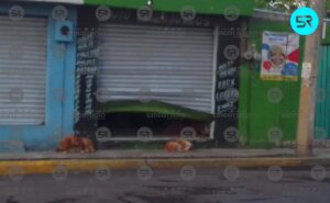 Roban máquina de juguetes en cortinazo a negocio de Villa Verde