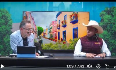 Alertan sobre gusano barrenador: cómo detectarlo y reportarlo