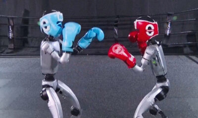 VIDEO: Robots protagonizan pelea de boxeo en China