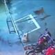 Gato héroe salva a otro felino del ataque de un perro
