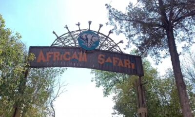 El IMDP y Africam Safari organizaron un recorrido sensorial para atletas con discapacidad visual, fomentando inclusión y respeto por la biodiversidad.