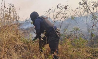Policía Montada refuerza vigilancia y combate incendios en el Cerro Zapotecas
