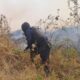 Policía Montada refuerza vigilancia y combate incendios en el Cerro Zapotecas