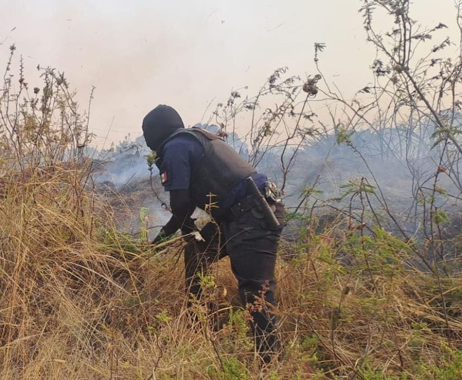 Policía Montada refuerza vigilancia y combate incendios en el Cerro Zapotecas