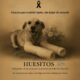 Huesitos, el lomito héroe que venció al maltrato, muere de cáncer
