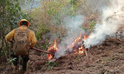 Puebla reduce 50% daños por incendios forestales en 2025