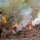 Puebla reduce 50% daños por incendios forestales en 2025