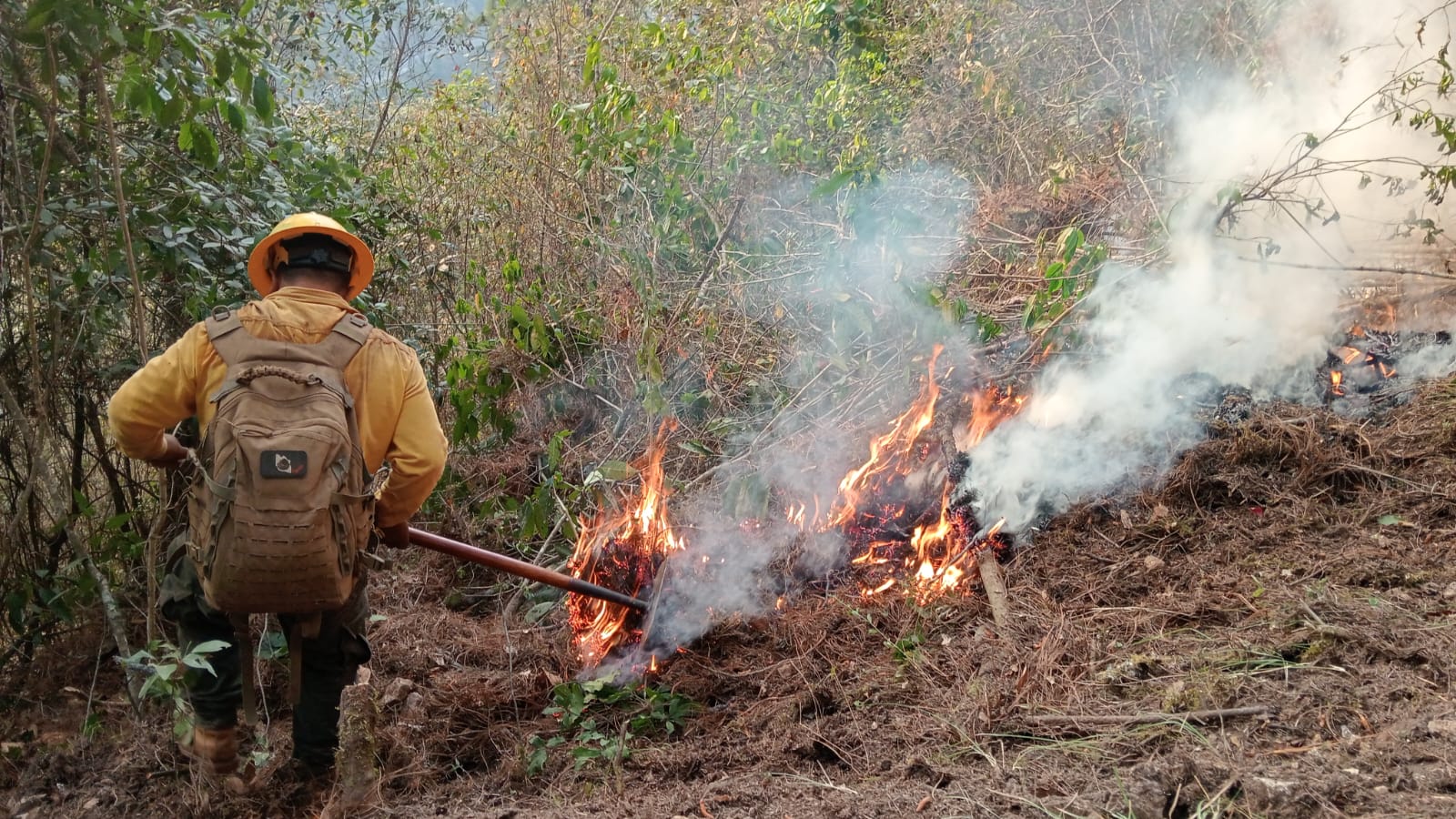 Puebla reduce 50% daños por incendios forestales en 2025