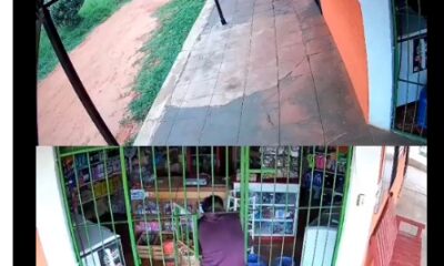 Un video muestra a un ladrón "contorsionista" robando en una tienda en Paraguay. Aunque no se denunció, la policía intervino y arrestó al joven.