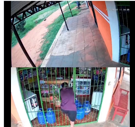 Un video muestra a un ladrón "contorsionista" robando en una tienda en Paraguay. Aunque no se denunció, la policía intervino y arrestó al joven.