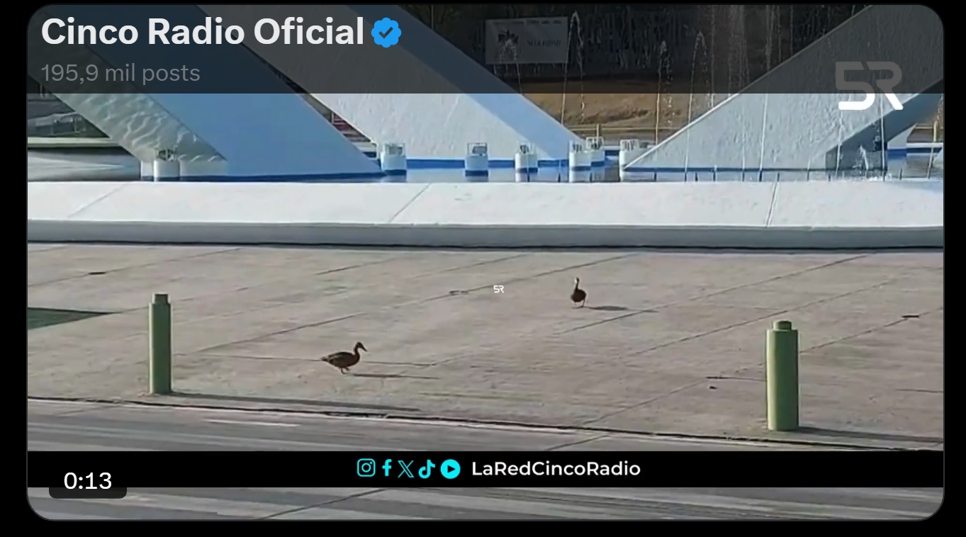 Automovilistas en Puebla fueron alertados para reducir la velocidad y respetar el paso de la vida silvestre en la zona de Los Fuertes.