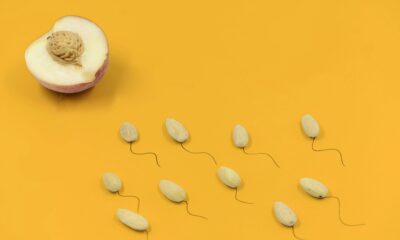 Donante con mutación causa 10 cánceres infantiles en Europa