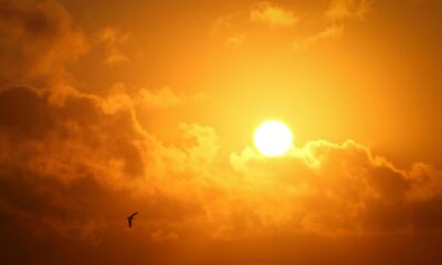 Tormenta solar interrumpe radio en cinco continentes
