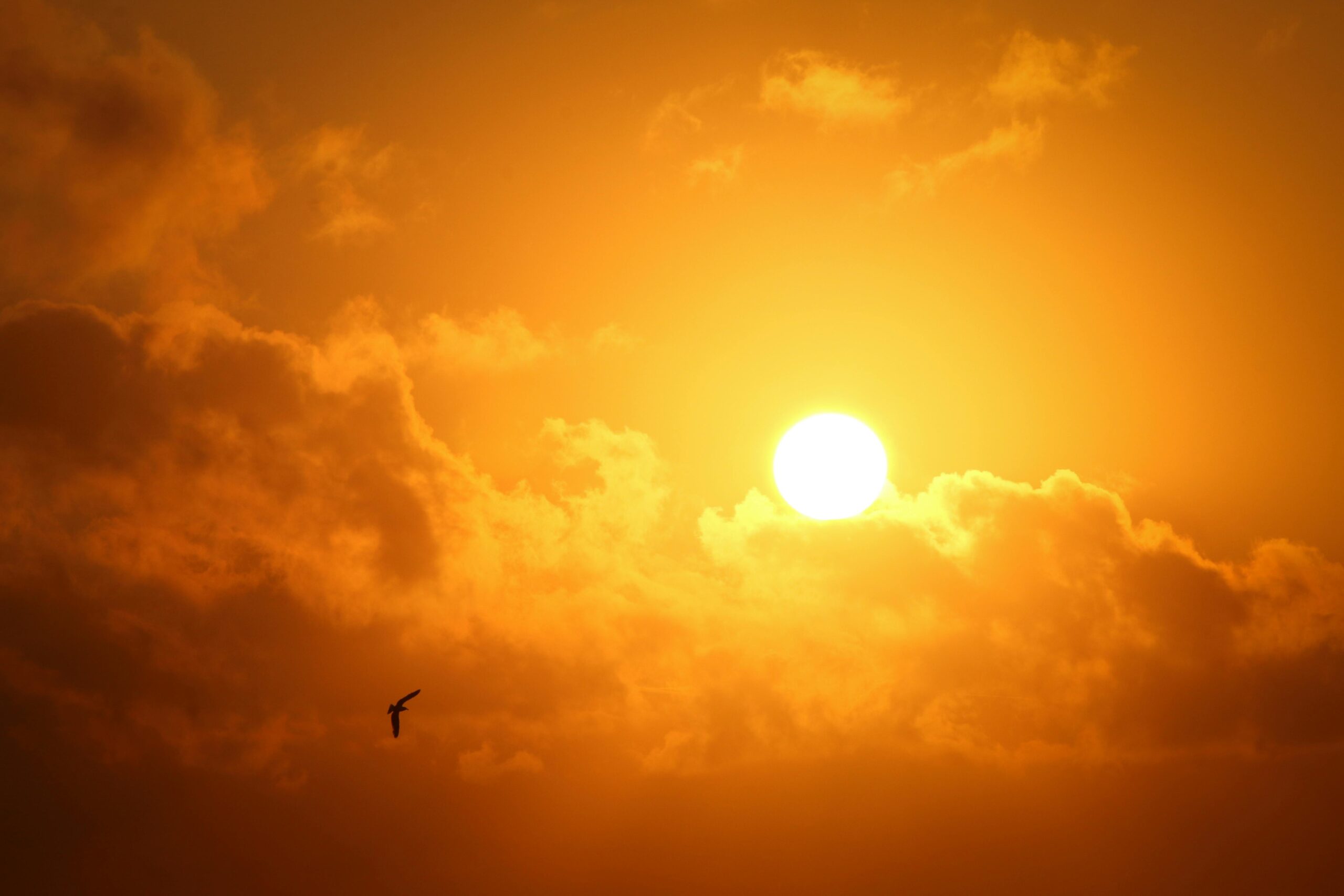 Tormenta solar interrumpe radio en cinco continentes